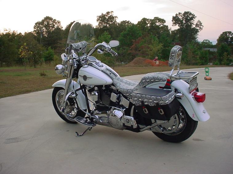 Fatboy bike